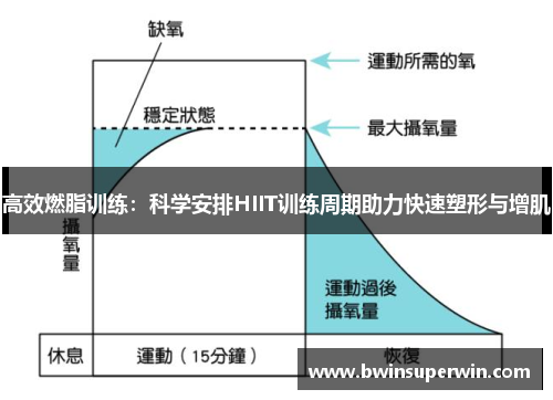 高效燃脂训练：科学安排HIIT训练周期助力快速塑形与增肌